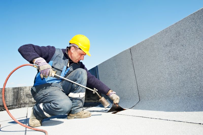 Professional Roofing Work