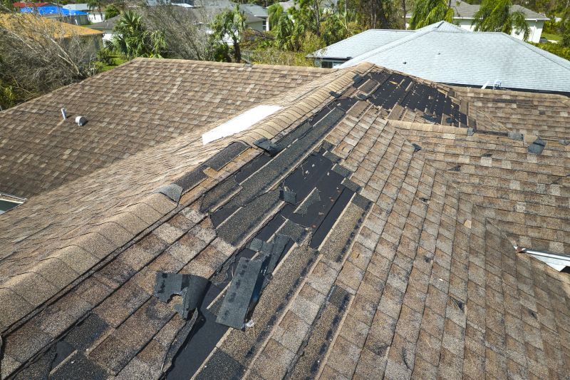 Specialized Roof Repair Teams